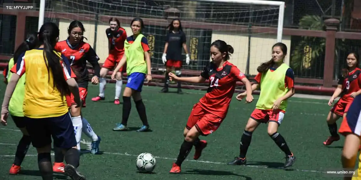 行业领先的理由